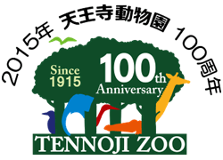 [�摜]�V������������100���N�̉摜�ł��B